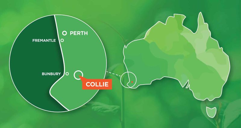 Map of Collie Western Australia